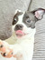 Abby