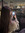 member photo member photo
