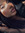Krysta ꕤ