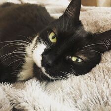 Denise