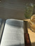 Lila P