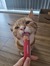 Amber C...