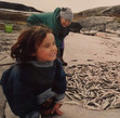 Hanne