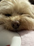 Lucy Mi...