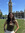 Isabel Arroba