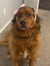 Riley W...