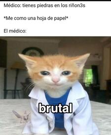 Isabel 