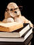Paws & ...