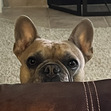 Emily