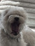 Cate
