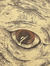 Vincent