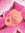 seed