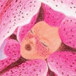 seed