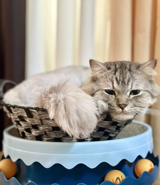 Arisé