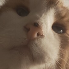 Lerppu