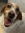 Finley Simarro-