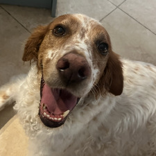 Finley Simarro-