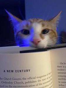 Micah
