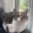 Suzi