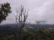 Aadhil