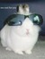 Jinnie