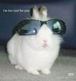 Jinnie
