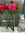 member photo member photo