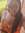 Shay