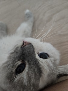 Quinn