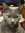 member photo member photo