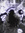 . ݁⋆ ꫂ᭪ ݁˖ . Mia ݁ ˖ ݁♬⋆.˚⋆ | 2 comments