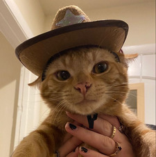 Lil