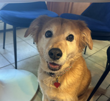 Ella