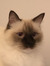 Agathe ...
