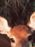 Du ੈ♡˳·˖✶