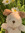 member photo member photo