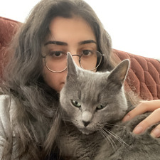 Deniz