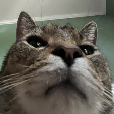 Erin
