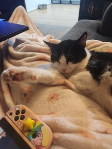 Genkat