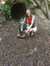 Ilse