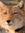 member photo member photo