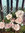 member photo member photo