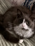 Freya M...