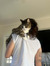 Ailie G...