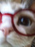 Isabella
