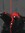 Lucifrain