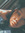 Carynn