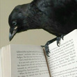 Justabooklover
