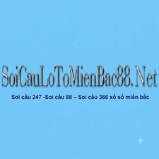 Soi 247
