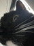Izzy